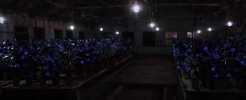 mvtheory_mx_fighter_6