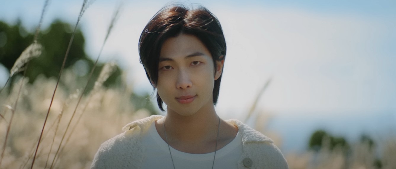 BTS RM Wildflower Inspired Light Box - Gifts For Kpop Lovers - BTS Gift - BTS Desk Accessories - BTS Room Decor